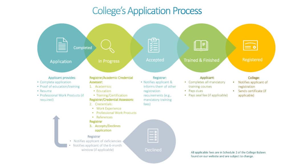 College's Application Process