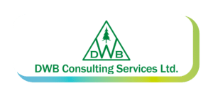 DWB select 2025 conference logo