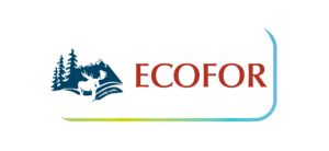 Ecofor Friendship 2025 conference logo