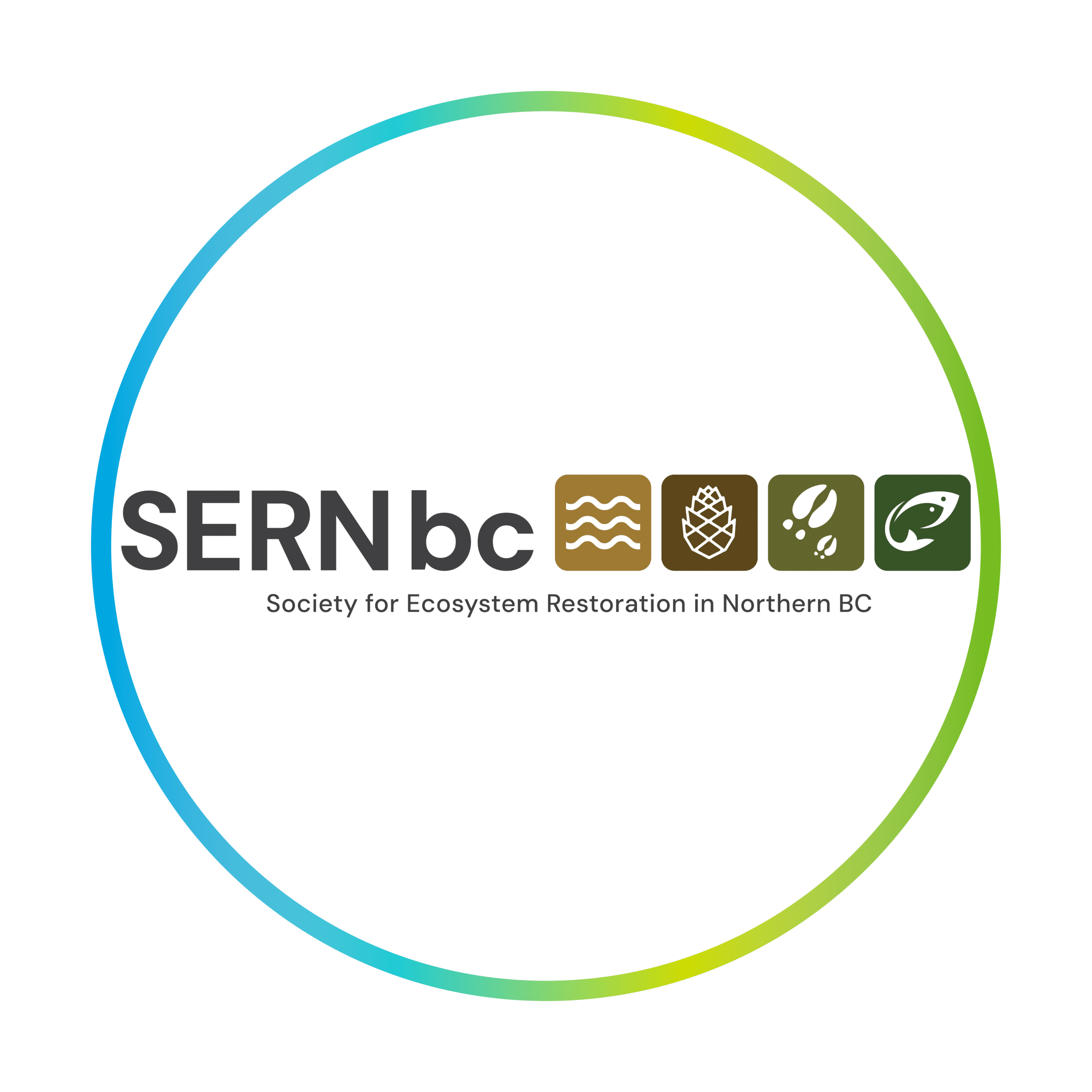 SERNbc tradeshow frame